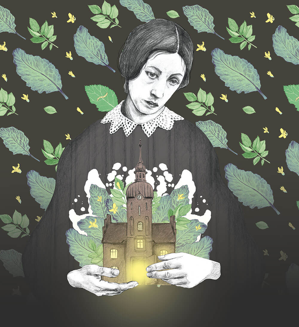 cover illustration asylum